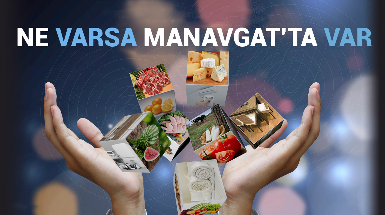 Ne Varsa Manavgatta Var